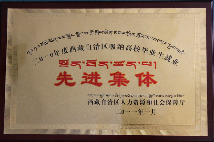 2010吸納高校就業先進集體